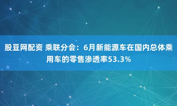 股豆网配资 乘联分会：6月新能源车在国内总体乘用车的零售渗透率53.3%