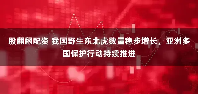 股翻翻配资 我国野生东北虎数量稳步增长，亚洲多国保护行动持续推进